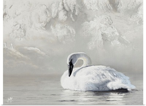 Studies In White