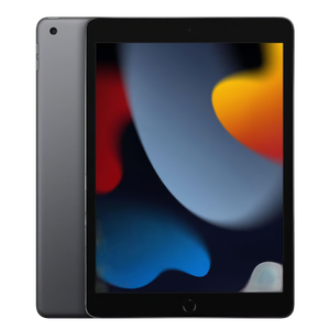 iPad 9 2021 10.2 256 GB Grigio siderale Cellular
