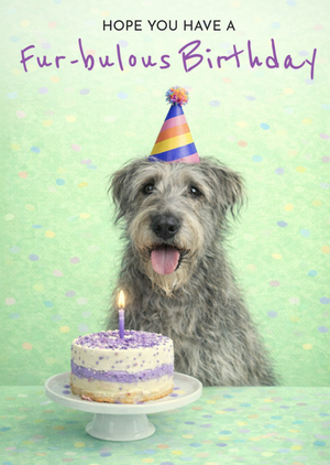 Have A Fur-Bulous Birthday Cute Dog and Cake Card