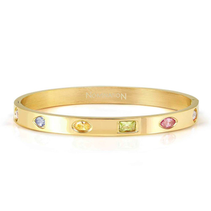 Pretty Stainless Steel Gold Plated Mixed CZ Satin Shine Bangle