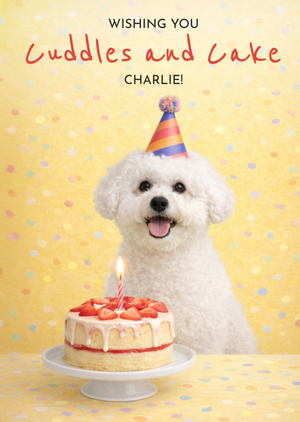 Wishing You Cuddles And Cake Bichon Frise Dog Card