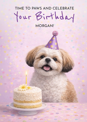 Time To Paws And Celebrate Shih Tzu Birthday Card