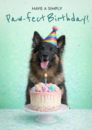 Belgian Shepherd Have A Simply Paw-Fect Birthday Card