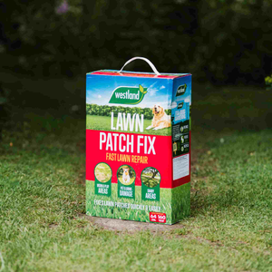Aftercut Patch Fix