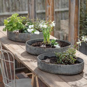 Hawthorn Bird Planter