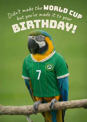 Funny Parrot In Football Shirt Birthday Card