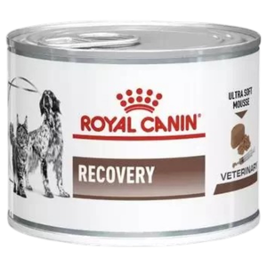 Royal Canin Recovery Ultra Soft Mousse for Cats and Dogs - Pack Size : 12 x 195g Tins