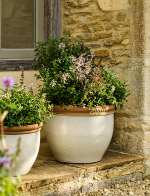 Coleshill Planter 48cm - Ceramic, Lily White
