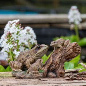 Playful Frogs On Tree Stump Polystone