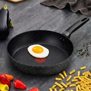Tefal Expertise Plus Frying Pan 30cm
