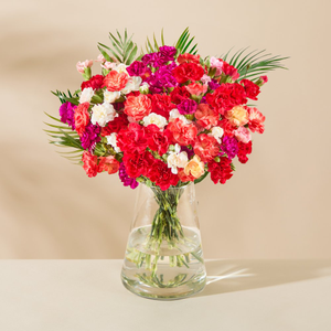 Confetti Carnation Bouquet