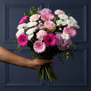 Cerise Germini and Pink Carnation Bouquet