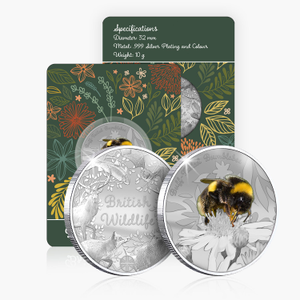 British Wildlife Buff Tailed Bumblebee Silver Plated BU Commemorative