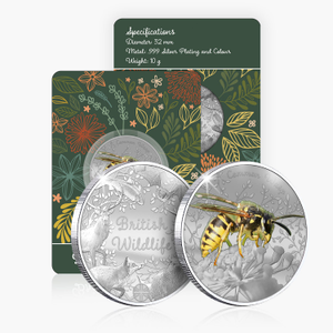 British Wildlife Common Wasp Silver Plated BU Commemorative