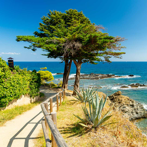 Walk & Tour: Catalonia’s Coast & Culture