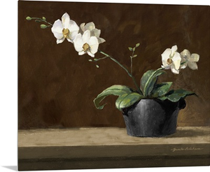 Orchid Still Life
