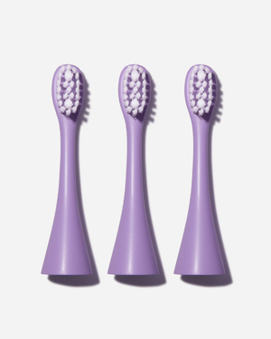 Sonic Pro Replacement Heads · Wisteria Purple