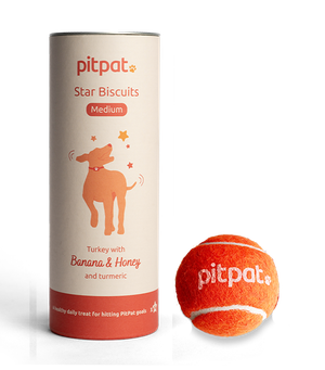 PitPat Medium Stars and Tennis Ball Bundle