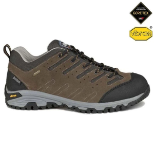 Mens Sendero GTX Walking Shoes (Brown)