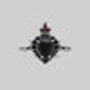 IGNIS COR. Sacred Heart Black Onyx Ring - Silver - Silver / Small