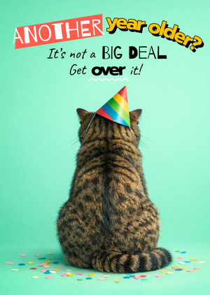 Another year Older Funny Cat Birthday Card