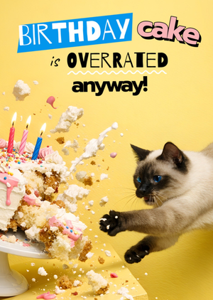 Funny Cat & Exploding Cake Birthday Card