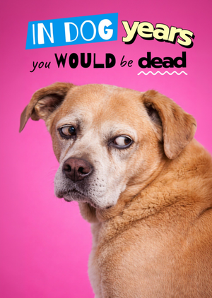 Humorous In Dog Years You Would Be Dead Birthday Card