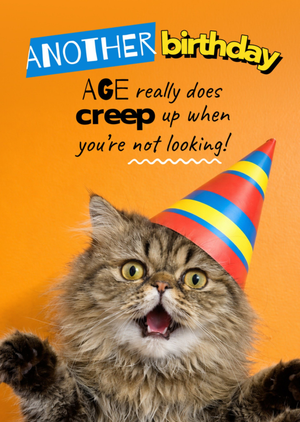 Surprised Cat Funny Age Joke Birthday Card