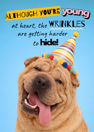 Although You're Young Cheeky Wrinkly Dog Birthday Card
