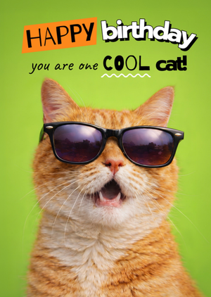 You Are One Cool Cat Funny Happy Birthday Card