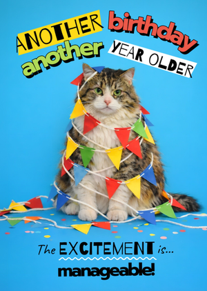Another Birthday Another Year Older Funny Cat Card