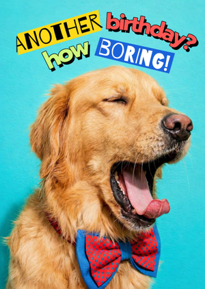 Another Birthday How Boring Funny Yawning Dog Card