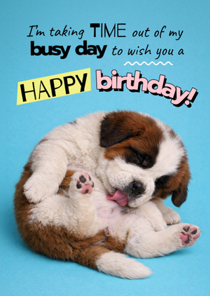 Taking Time Out Of My Busy Day Cute Puppy Birthday Card