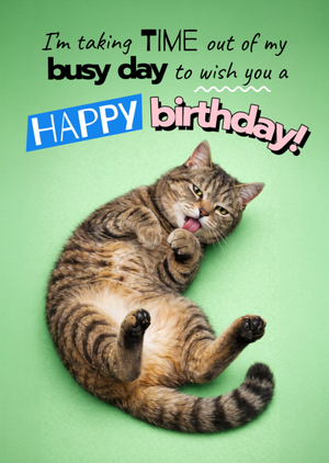 Taking Time Out Of My Busy Day Cute Cat Birthday Card