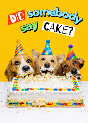 Funny Dogs Eating Cake Birthday Card