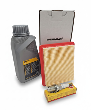 Weibang WB103 Engine Service Kit (For Virtue 50 SVP)