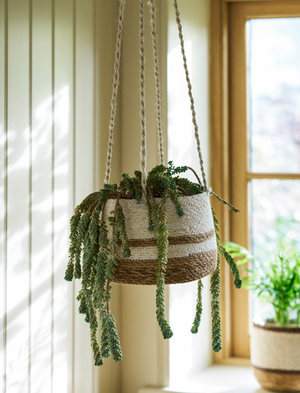 Hanging Plant Pot Striped Base 20cm - Seagrass, Natural