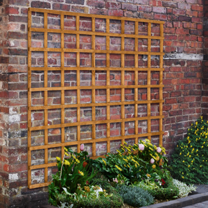 Heavy Duty Trellis - 183 x 183cm - Pack of 5 FSC® certified