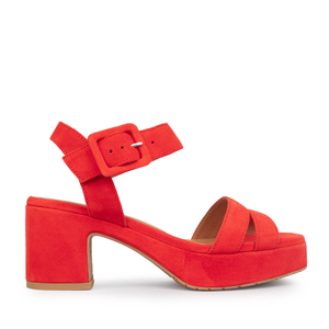 Flora Red - 36 (UK3)