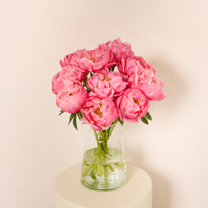 Coral Peonies