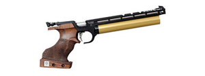 Steyr EVO10E
