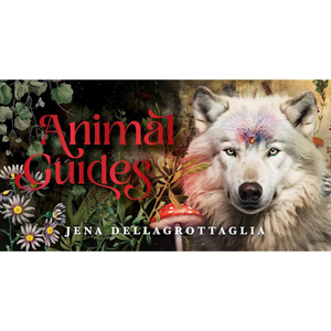 Animal Guides Mini Cards by Jena Dellagrottaglia
