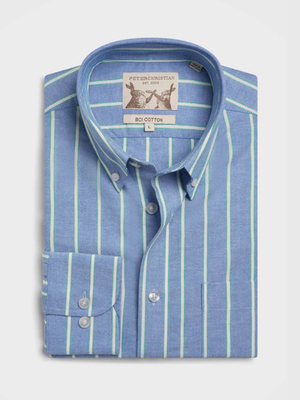 Blue & Green Stripe Long Sleeve Button Down Oxford Shirt