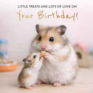 Moonpig Little Treats And Lots Of Love Cute Hamster Birthday Card