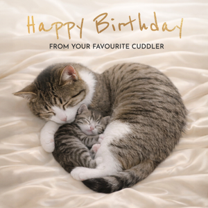 Moonpig From Your Favourite Cuddler Cute Cat & Kitten Birthday Card