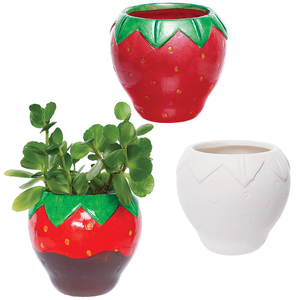 Pots de fleurs en céramique fraise