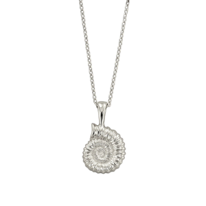 Dainty Silver Ammonite Fossil Necklace (19")