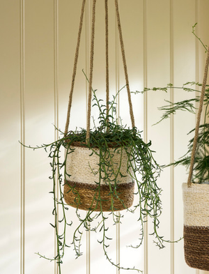 Hanging Plant Pot Multi Stripe 14cm - Seagrass, Natural