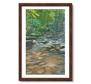 Blue Ridge Brook