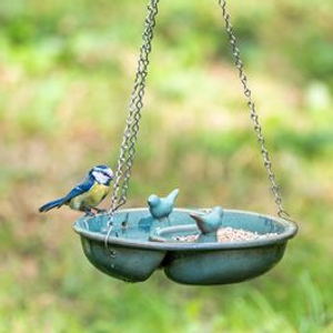Vierno YinYang Bird Feeder & Drinker
